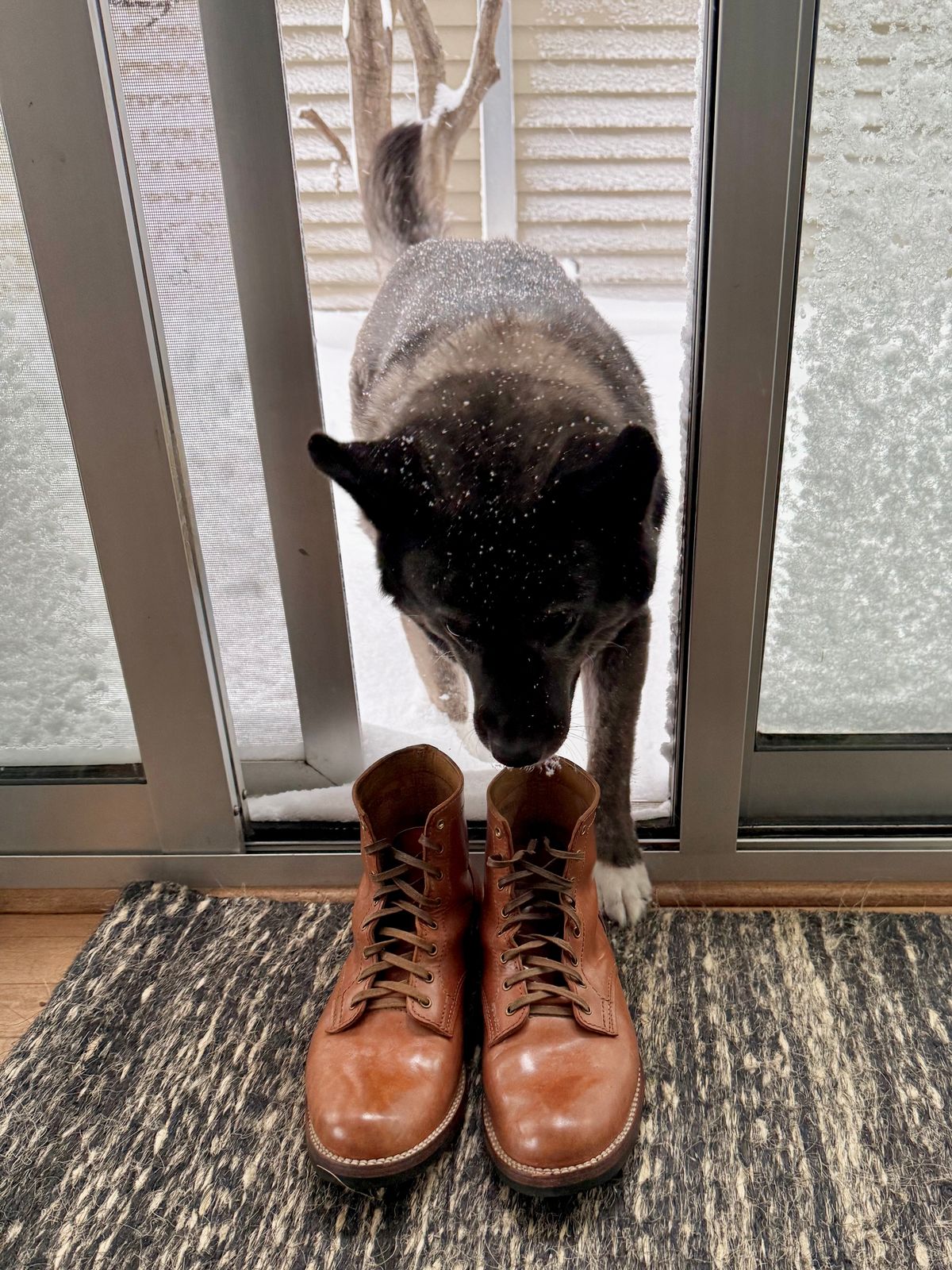 Photo by chris.8888 on March 16, 2026 of the Oldspeed MFG Service Boot 6” in Horween Russet Horsehide Strips.