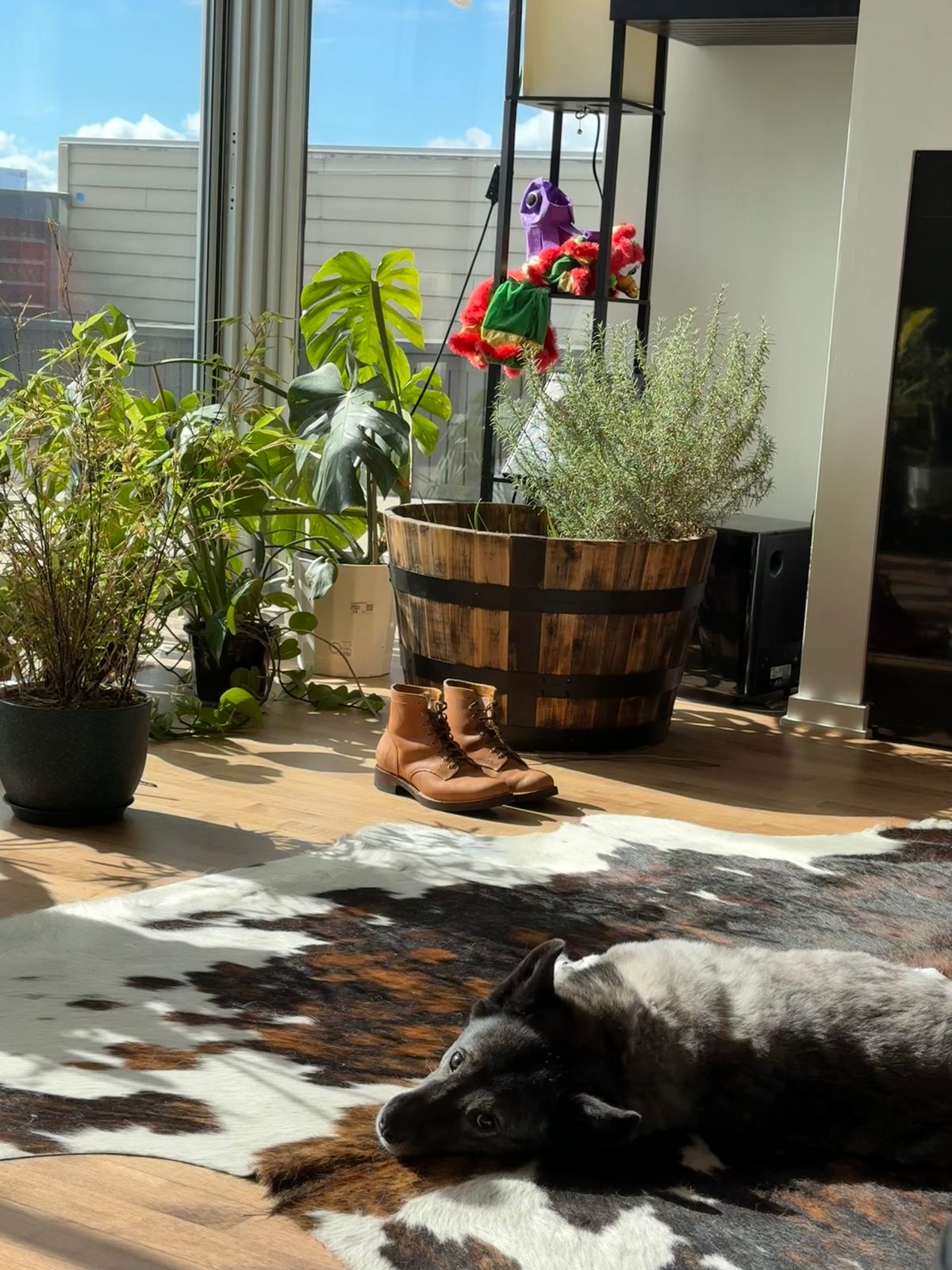 Photo by chris.8888 on October 11, 2025 of the Oldspeed Service Boot 6” in Horween Russet Horsehide Strips.