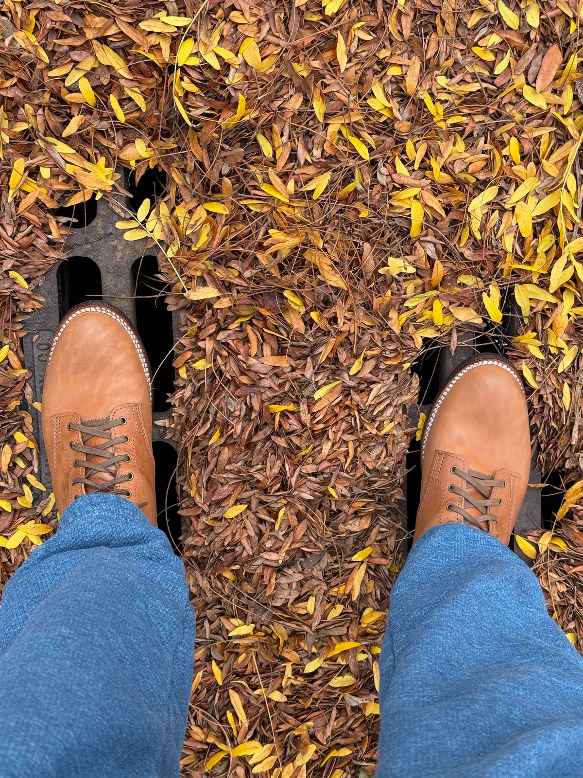 Photo by chris.8888 on October 22, 2025 of the Oldspeed Service Boot 6” in Horween Russet Horsehide Strips.