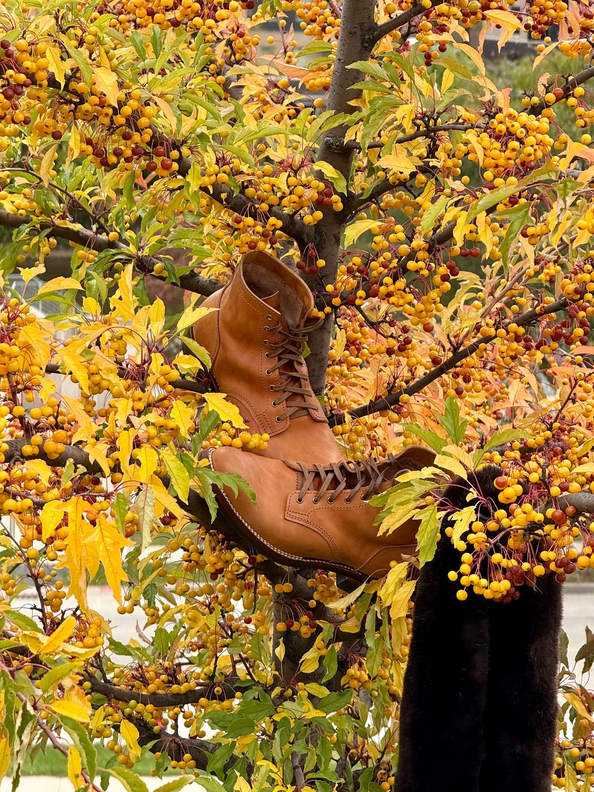 Photo by chris.8888 on October 22, 2025 of the Oldspeed Service Boot 6” in Horween Russet Horsehide Strips.
