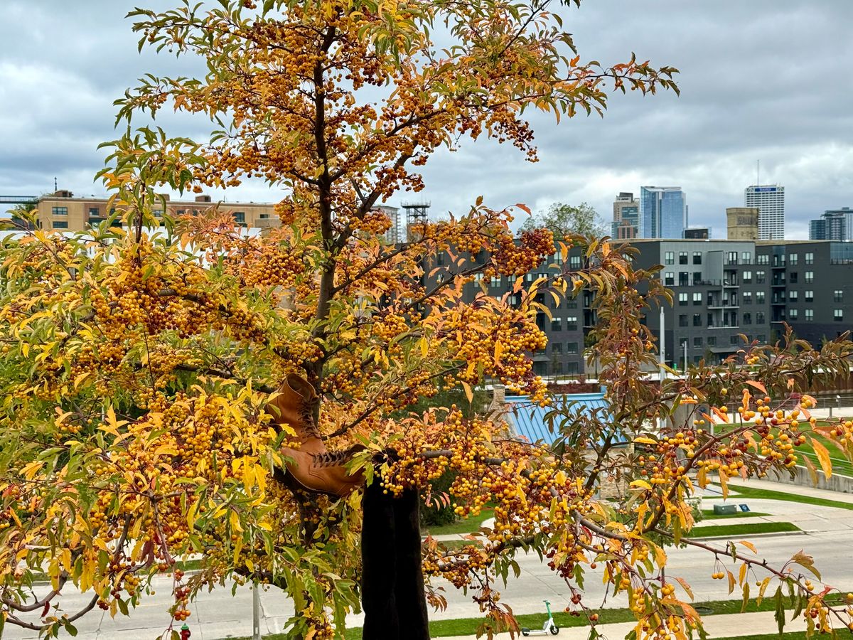 Photo by chris.8888 on October 22, 2025 of the Oldspeed Service Boot 6” in Horween Russet Horsehide Strips.