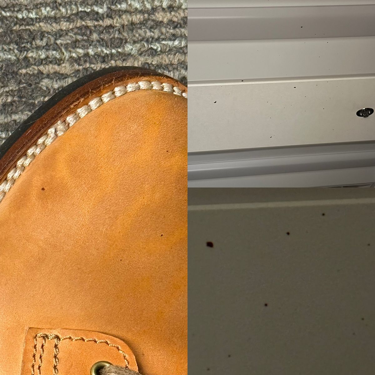 Photo by chris.8888 on October 31, 2025 of the Oldspeed Service Boot 6” in Horween Russet Horsehide Strips.