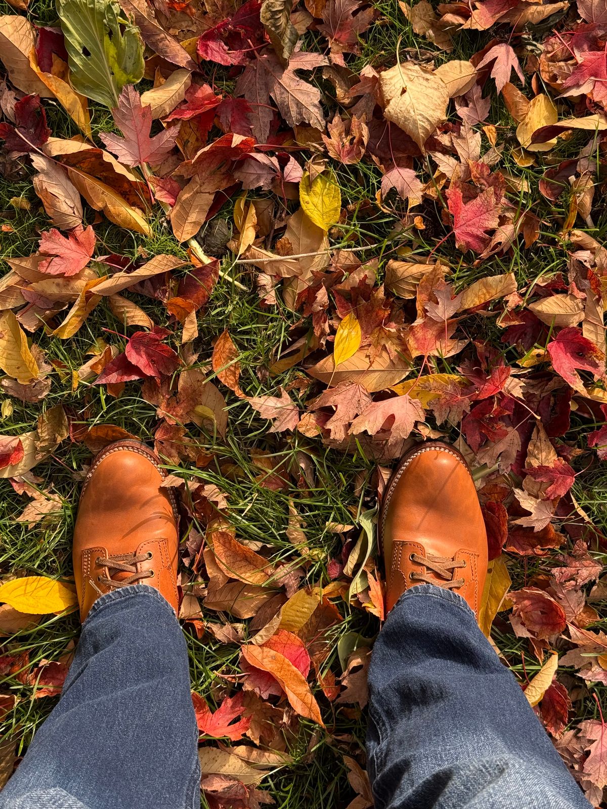 Photo by chris.8888 on November 2, 2025 of the Oldspeed Service Boot 6” in Horween Russet Horsehide Strips.