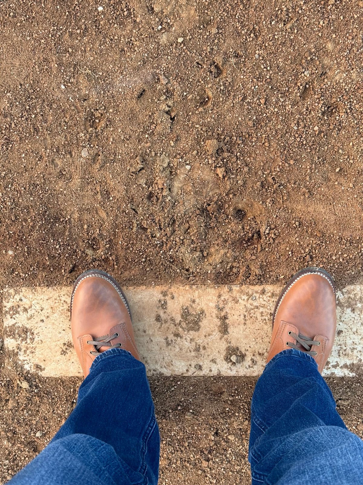 Photo by chris.8888 on November 2, 2025 of the Oldspeed Service Boot 6” in Horween Russet Horsehide Strips.