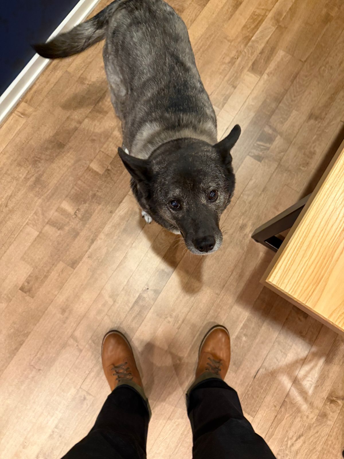 Photo by chris.8888 on November 12, 2025 of the Oldspeed MFG Service Boot 6” in Horween Russet Horsehide Strips.