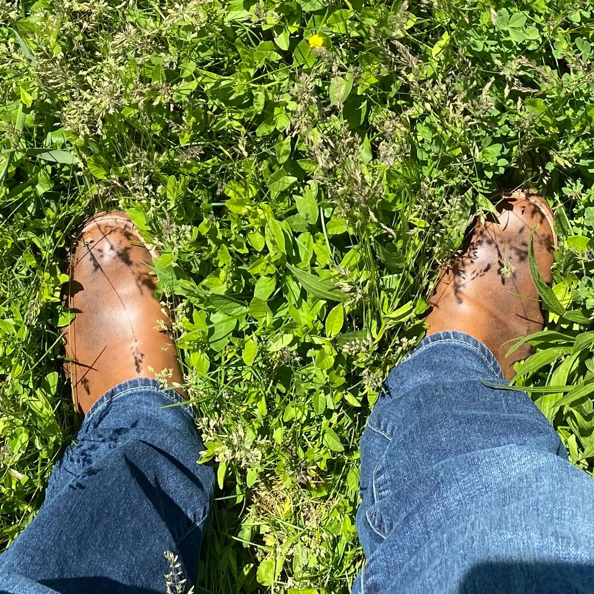 Photo by chris.8888 on May 31, 2025 of the Unsung U 22-2 Engineer Boot in Horween Chelsea Horsefront.