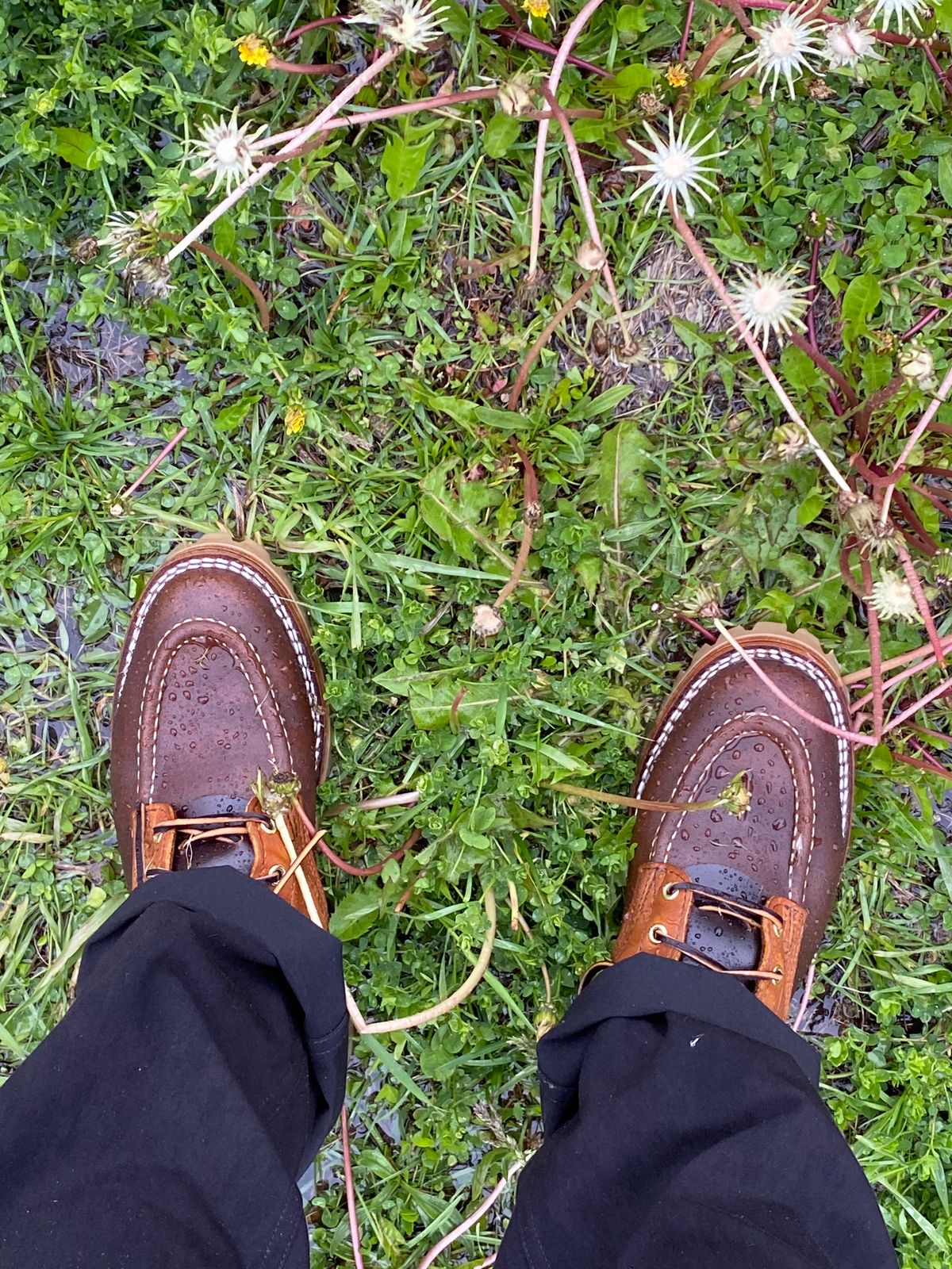Photo by chris.8888 on May 21, 2025 of the Nicks x Parkhurst V3 in Horween Spokane Honey Smooth/Waxed.