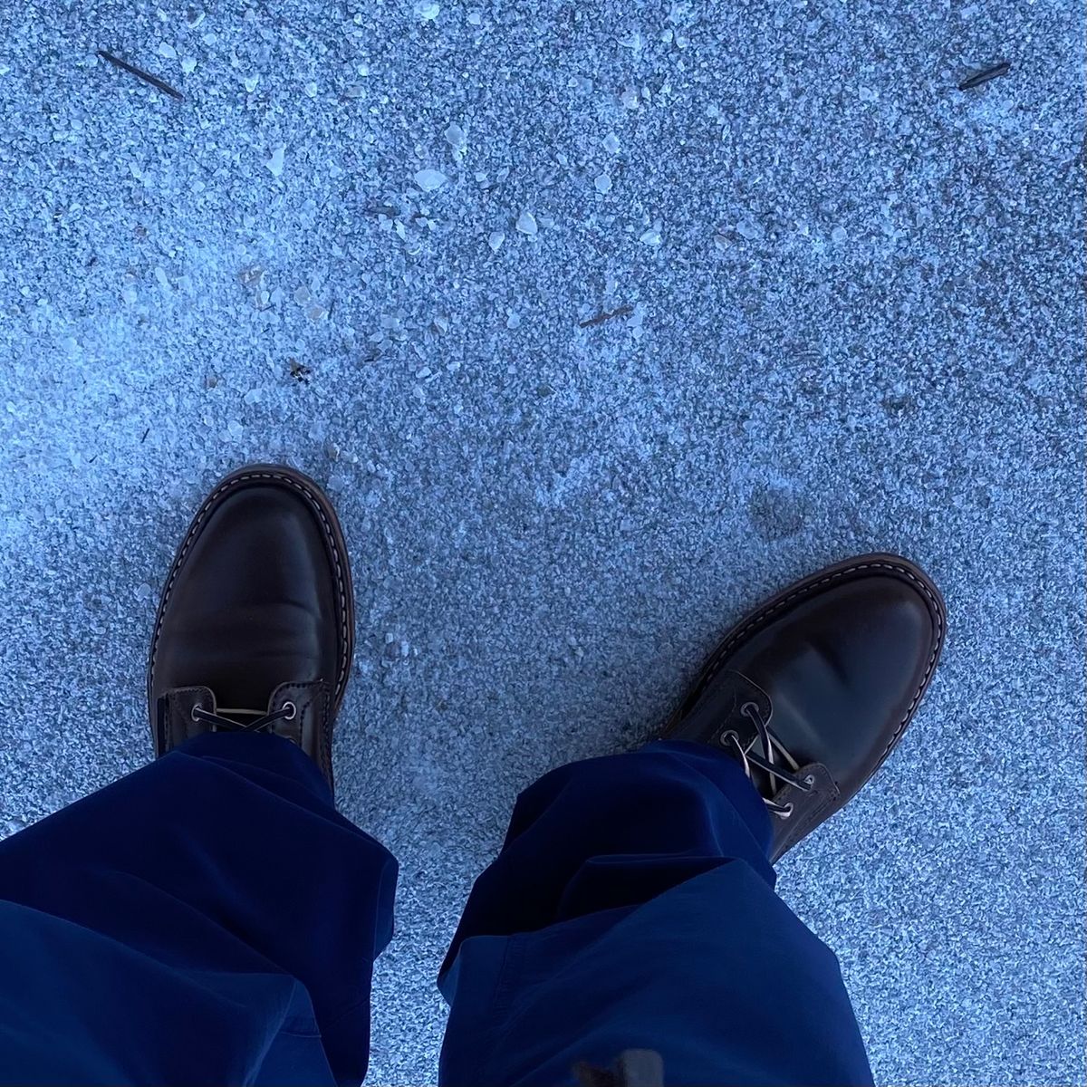 Photo by chris.8888 on January 21, 2025 of the White's MP-Sherman Plain Toe in Horween Brown Shell Cordovan.