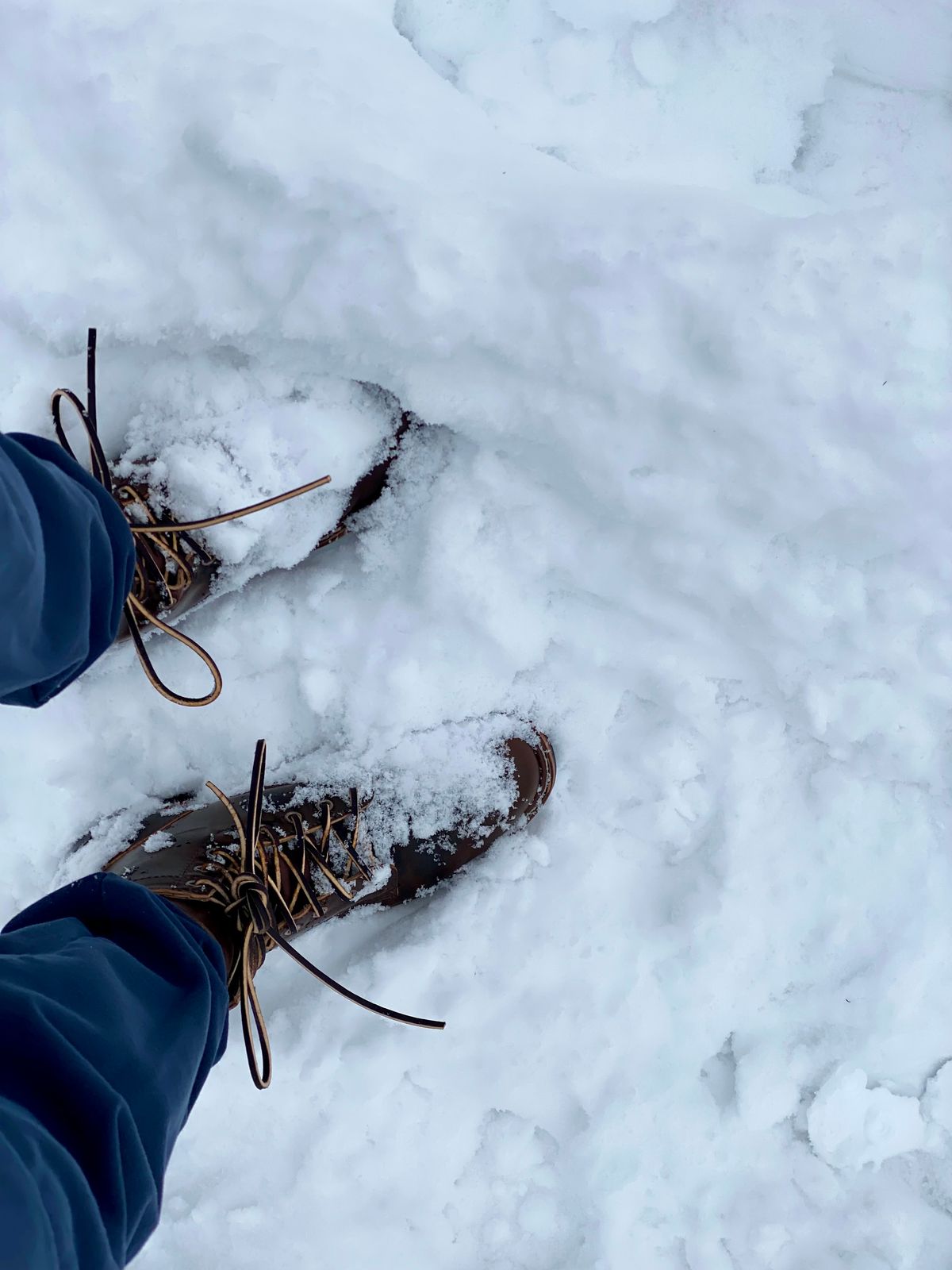 Photo by chris.8888 on February 15, 2025 of the White's MP-Sherman Plain Toe in Horween Brown Shell Cordovan.