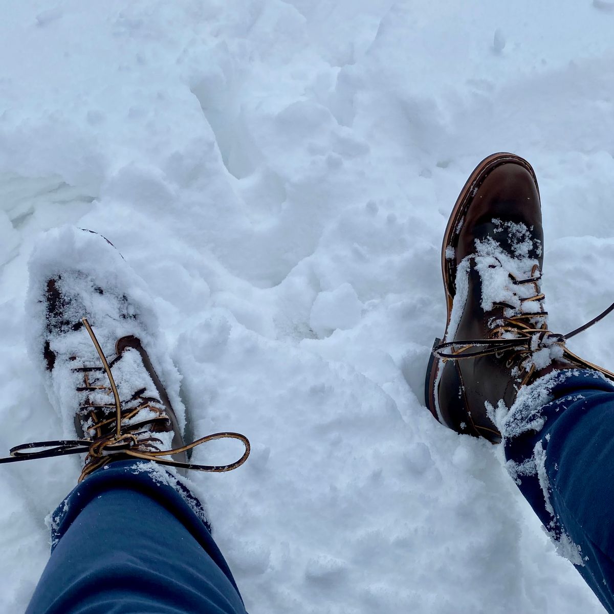 Photo by chris.8888 on February 15, 2025 of the White's MP-Sherman Plain Toe in Horween Brown Shell Cordovan.