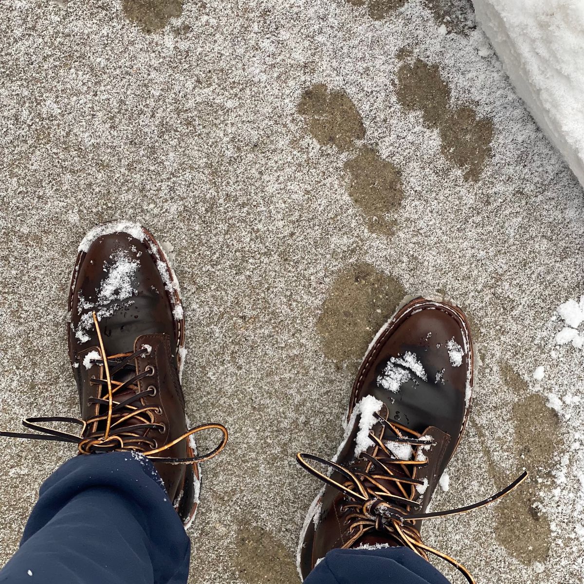 Photo by chris.8888 on February 15, 2025 of the White's MP-Sherman Plain Toe in Horween Brown Shell Cordovan.