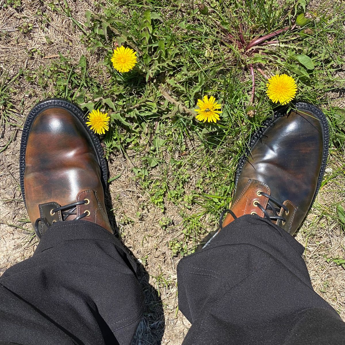 Photo by chris.8888 on May 6, 2025 of the Grant Stone Edward Boot in Horween Marbled Black Shell Cordovan.