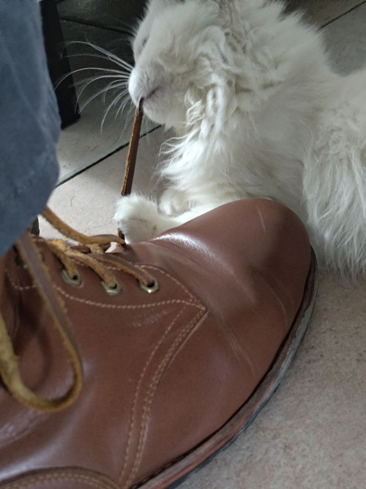 Photo by Joaoie on November 21, 2025 of the Spades Philippines Custom Model in Unknown Leather.