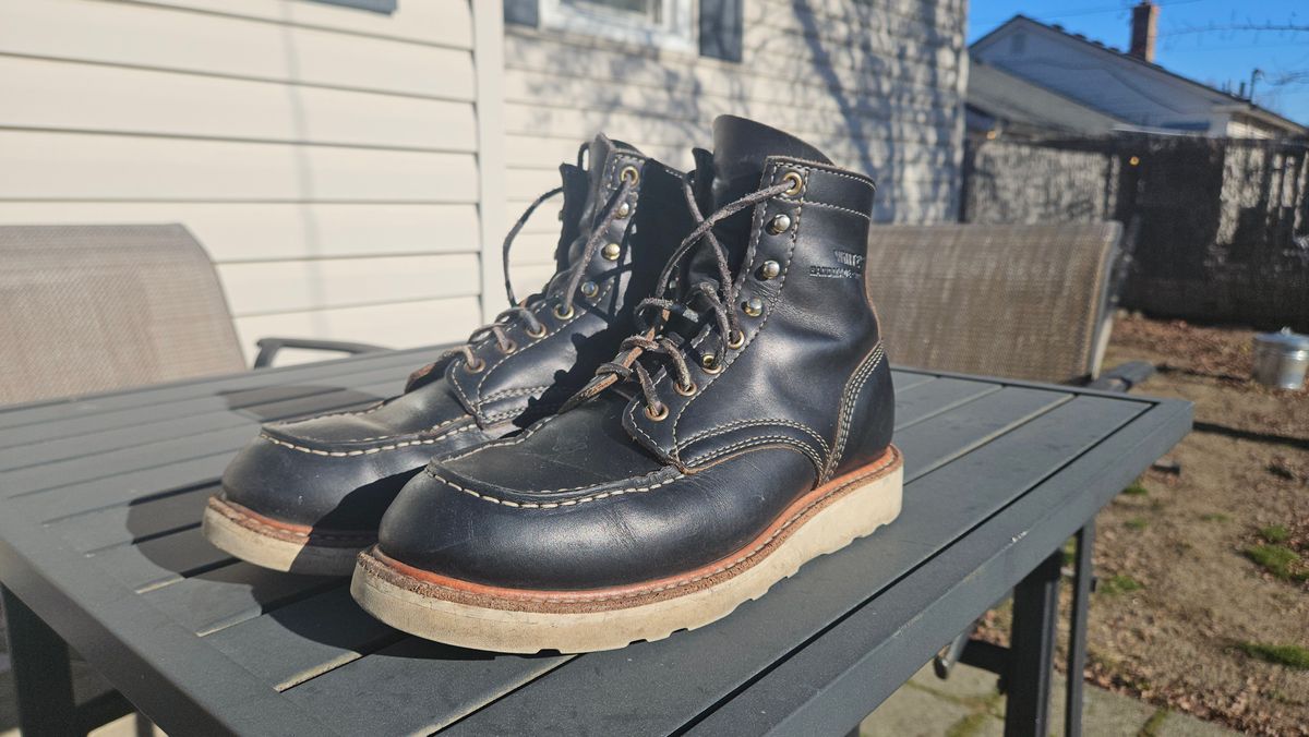 Photo by cjelliott on January 27, 2025 of the White's Perry 6" Select in Seidel Black Double Shot.