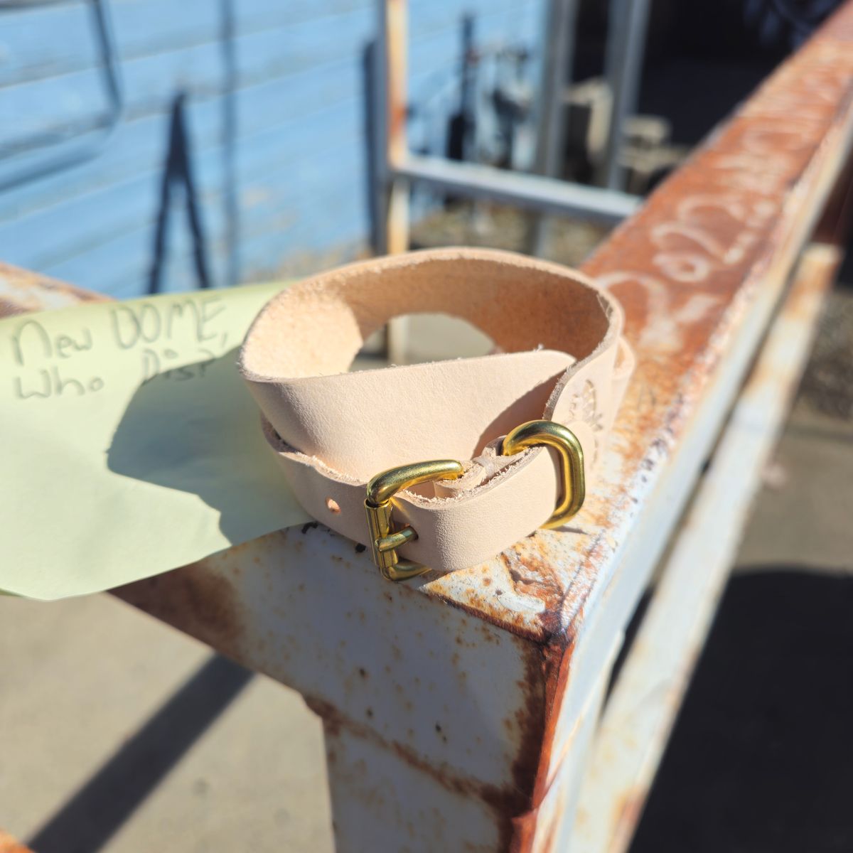Photo by cjelliott on October 3, 2025 of the Harker Leatherworks Natty Veg Cuff in Unknown Natural Veg Tan.