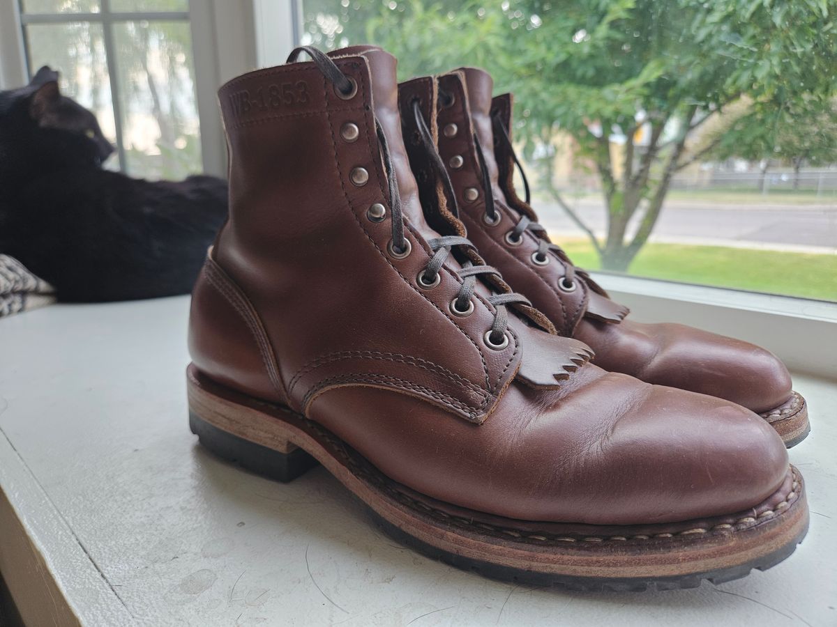 Photo by cjelliott on June 17, 2025 of the White's MP-Sherman Plain Toe in Horween British Tan Chromexcel.