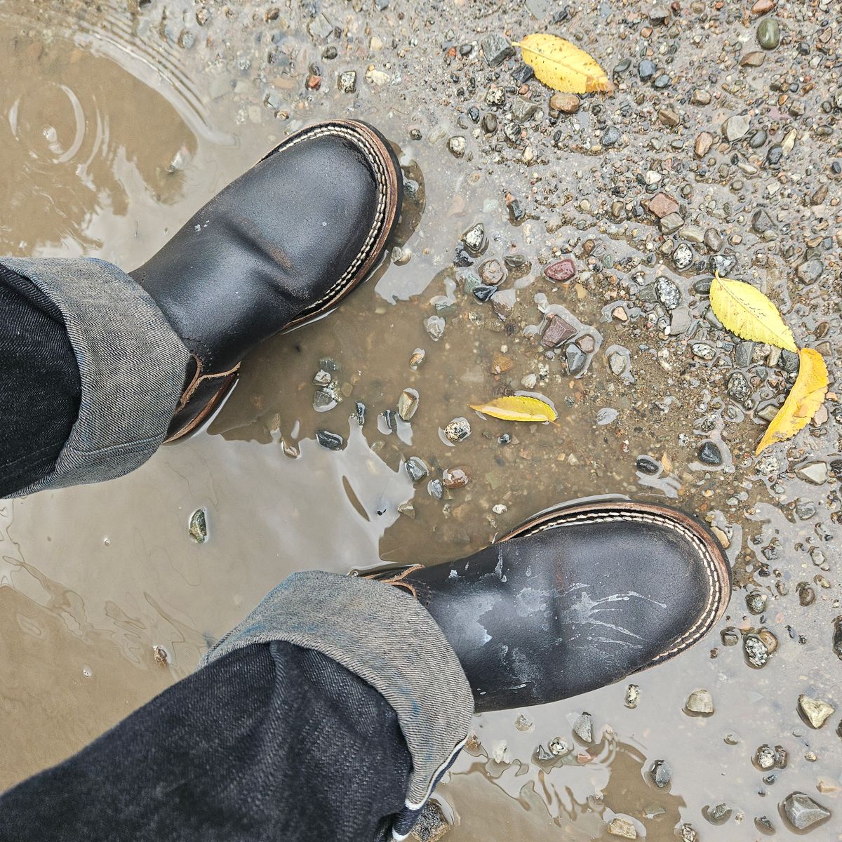 Photo by cjelliott on November 14, 2025 of the Nicks Nicks X Carl Murawski - Vintage Engineer in Horween Black Waxed Flesh.