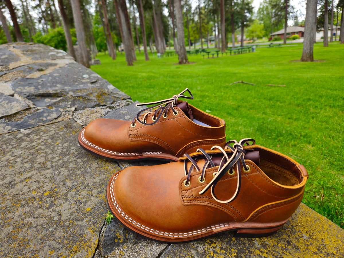 Photo by cjelliott on May 19, 2025 of the Nicks Comstock in Nicks / Spokane Honey Smooth.