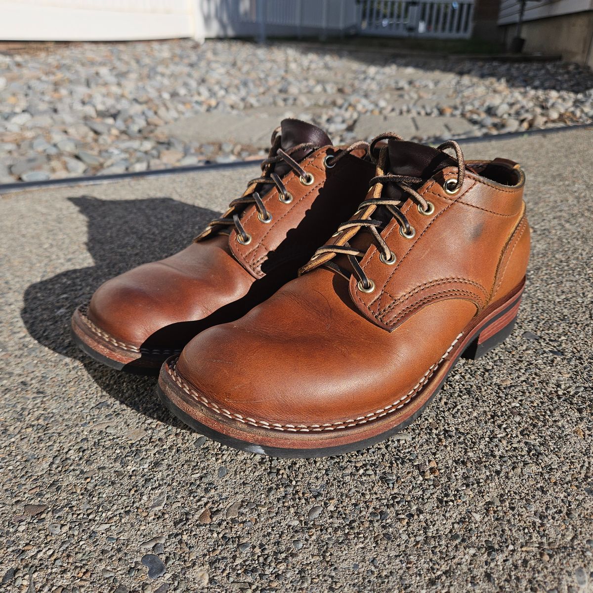 Photo by cjelliott on October 5, 2025 of the Nicks Comstock in Nicks / Spokane Honey Smooth.