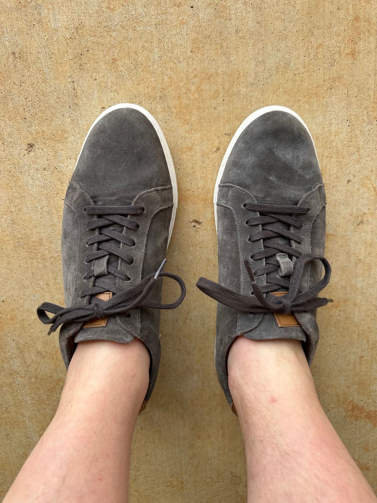 Photo by chazzboots on May 10, 2025 of the Allen Edmonds Courtside Sneaker in C.F. Stead Grey Suede.