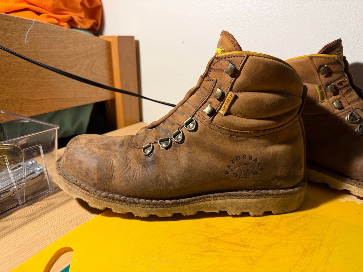 Photo by Amess923 on June 15, 2026 of the Jim Green Razorback Composite Toe in Fudge Crazy Horse.