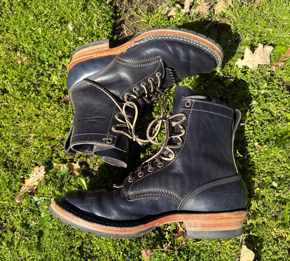 Photo by geckotrekker on April 3, 2026 of the White's Bounty Hunter in Maryam Navy Horsehide.