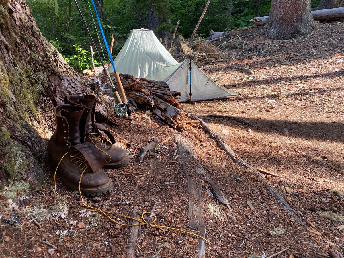 Photo by geckotrekker on August 9, 2025 of the White's Farmer/Rancher in Brown Distress.