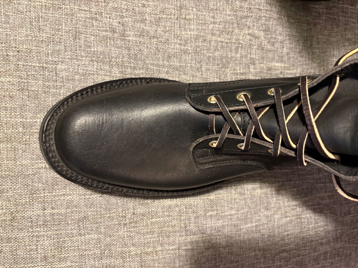 Photo by geckotrekker on March 13, 2026 of the Baker’s Sample in Black Smooth.