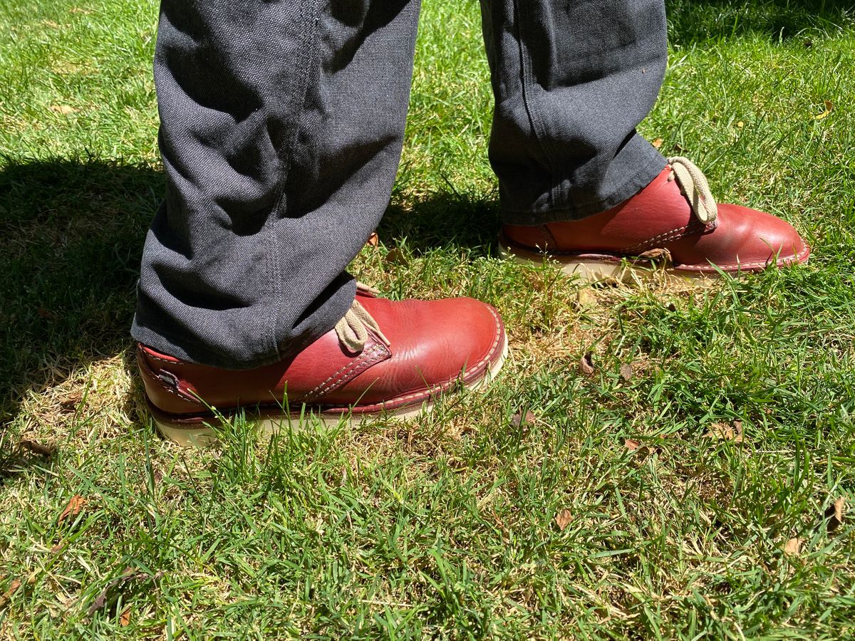 Photo by geckotrekker on June 28, 2025 of the Duckfeet Jylland in Granate Terracare.