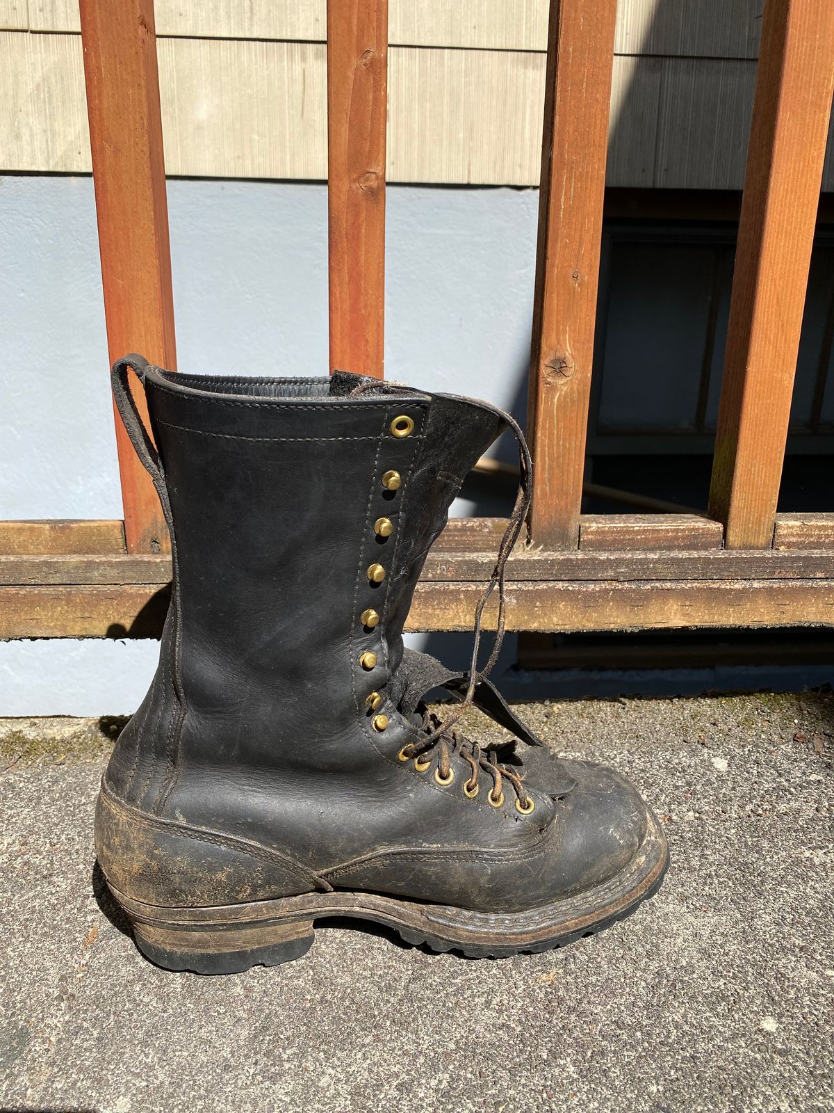 Photo by geckotrekker on July 18, 2025 of the White's Smokejumper in Seidel Black Oil Tan.