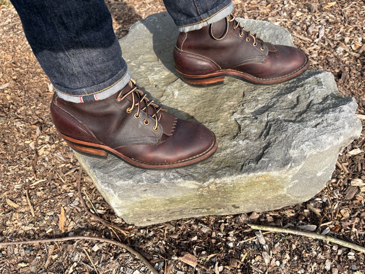 Photo by geckotrekker on January 22, 2026 of the Hathorn Packer in Brown Pull Up.