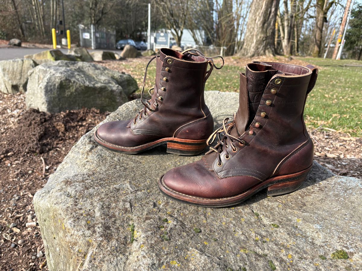 Photo by geckotrekker on January 22, 2026 of the Hathorn Packer in Brown Pull Up.