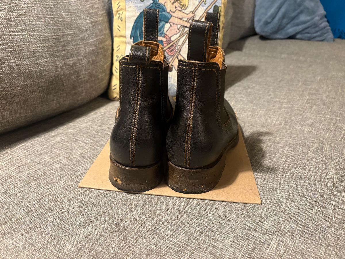 Photo by geckotrekker on November 3, 2025 of the Thursday Journeyman in Thursday Waxed Cacao.