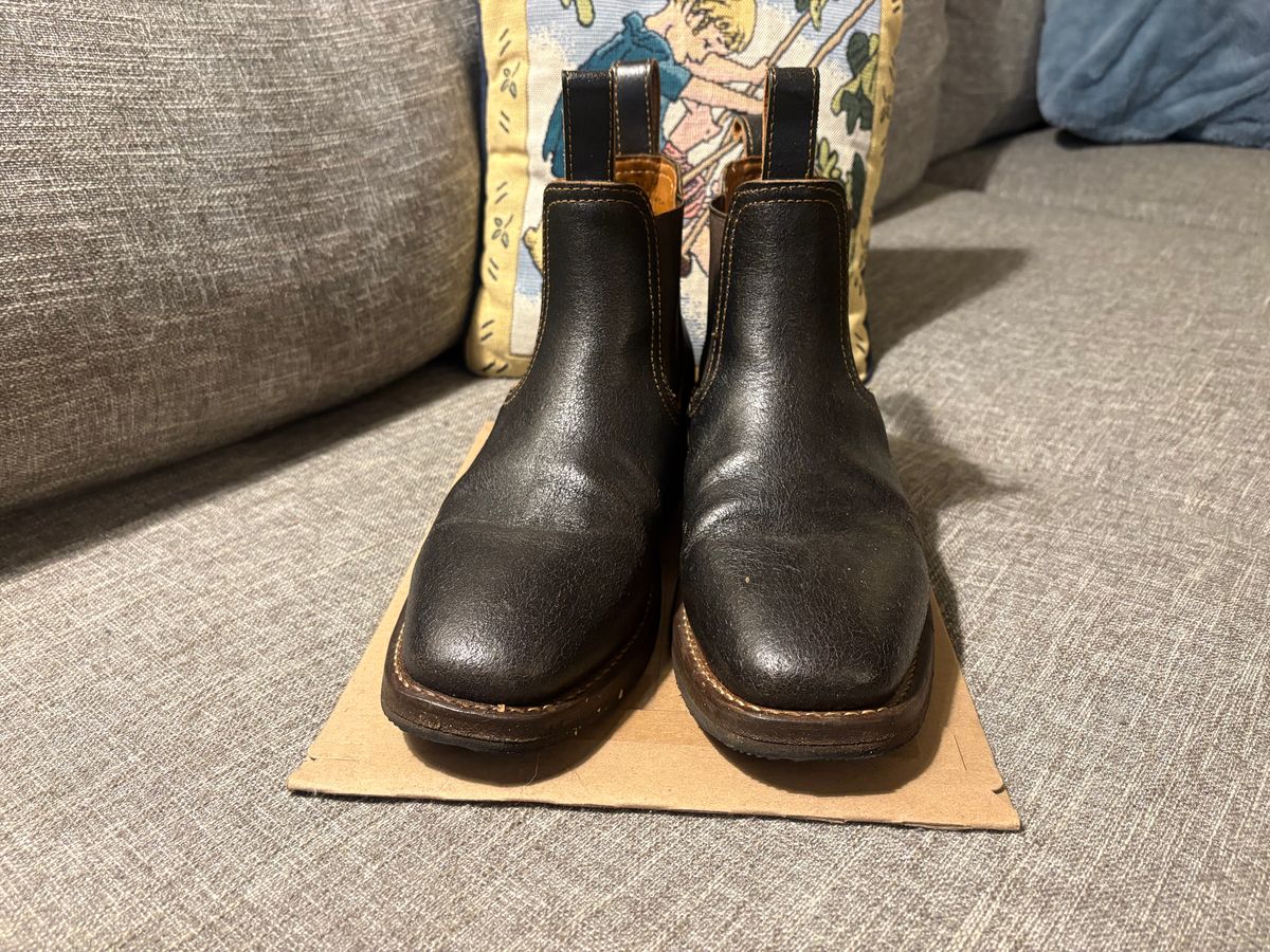 Photo by geckotrekker on November 3, 2025 of the Thursday Journeyman in Thursday Waxed Cacao.