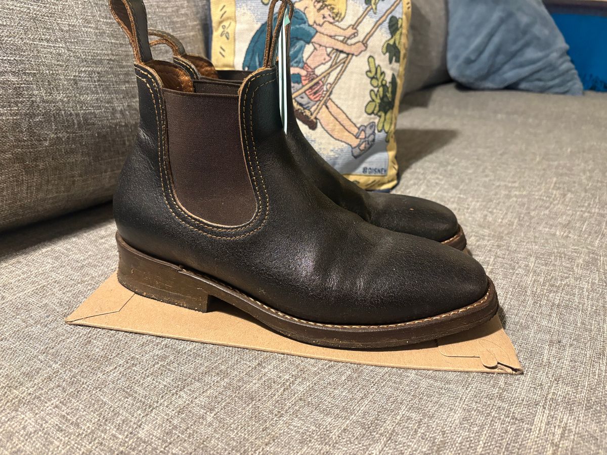 Photo by geckotrekker on November 3, 2025 of the Thursday Journeyman in Thursday Waxed Cacao.