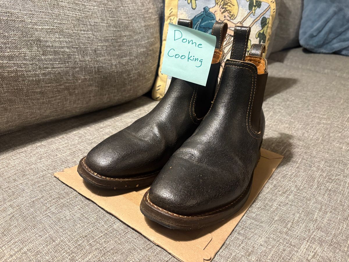 Photo by geckotrekker on November 3, 2025 of the Thursday Journeyman in Thursday Waxed Cacao.