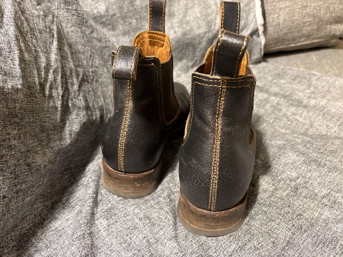 Photo by geckotrekker on December 3, 2025 of the Thursday Journeyman in Thursday Waxed Cacao.