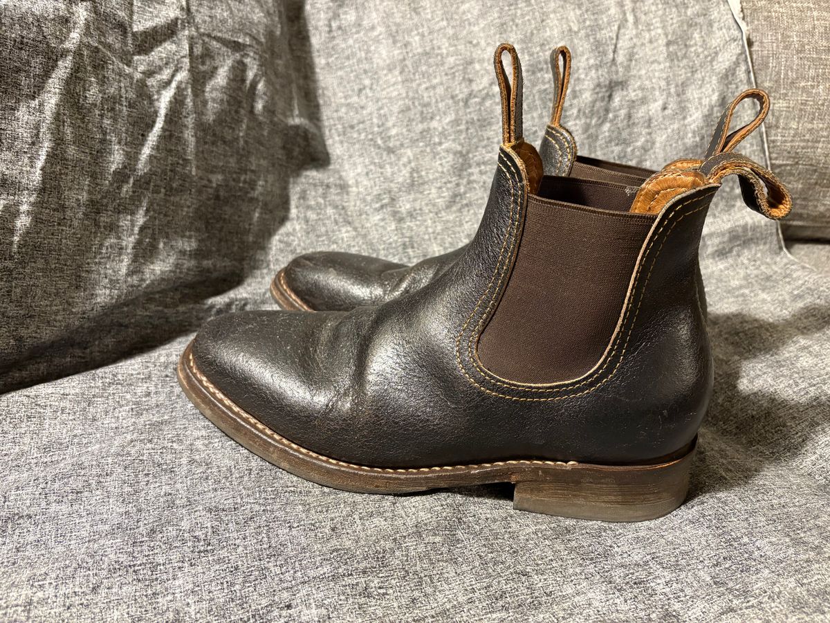 Photo by geckotrekker on December 3, 2025 of the Thursday Journeyman in Thursday Waxed Cacao.