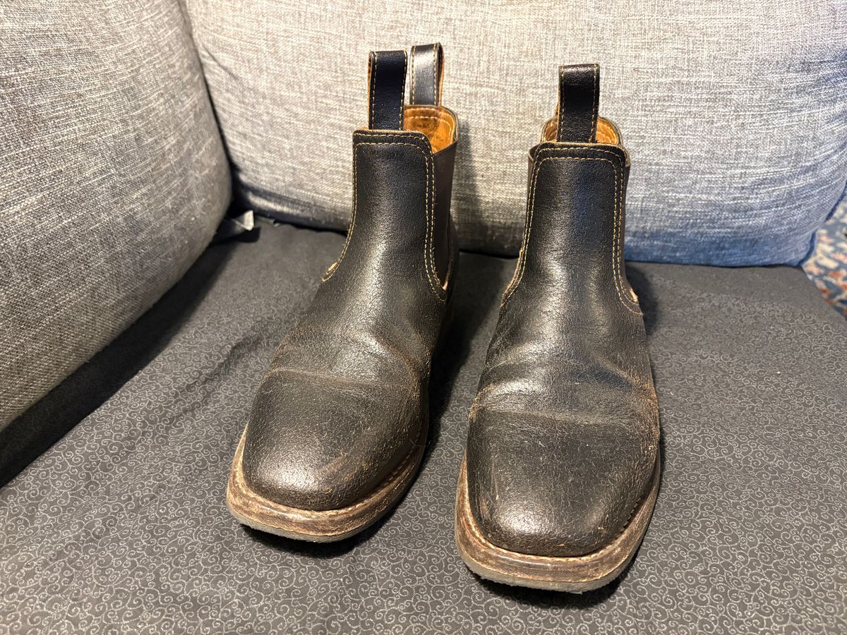 Photo by geckotrekker on January 5, 2026 of the Thursday Journeyman in Thursday Waxed Cacao.