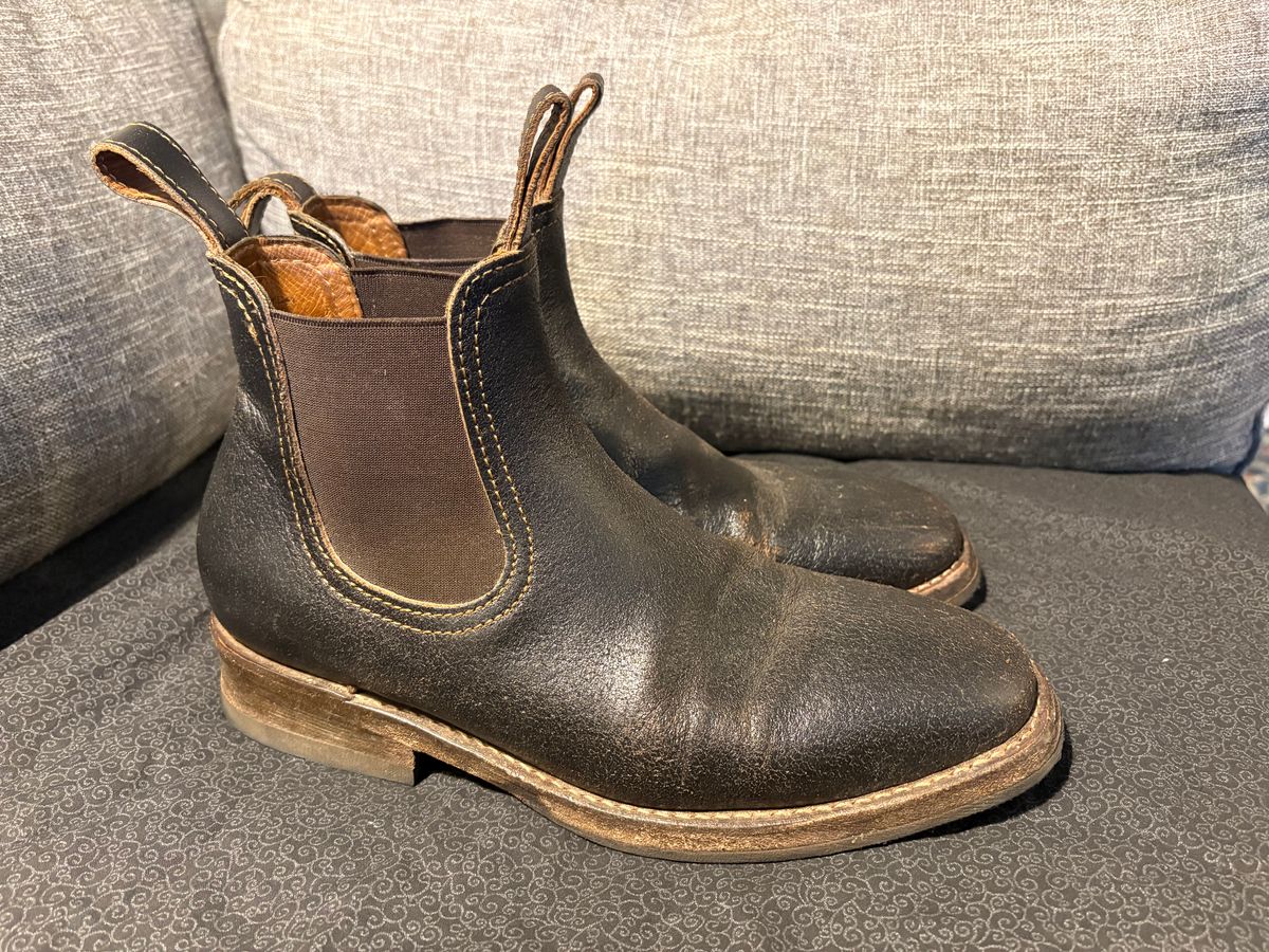 Photo by geckotrekker on January 5, 2026 of the Thursday Journeyman in Thursday Waxed Cacao.