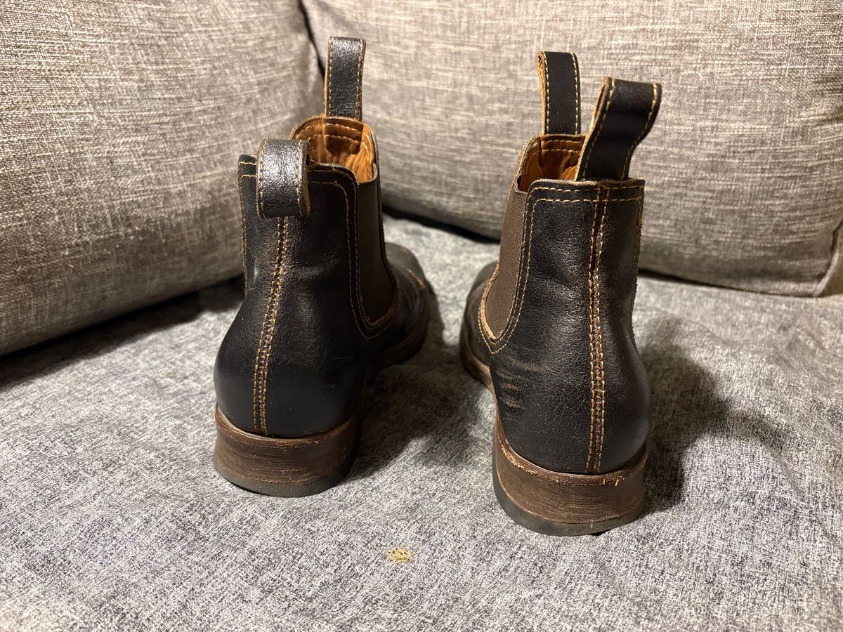 Photo by geckotrekker on February 5, 2026 of the Thursday Journeyman in Thursday Waxed Cacao.