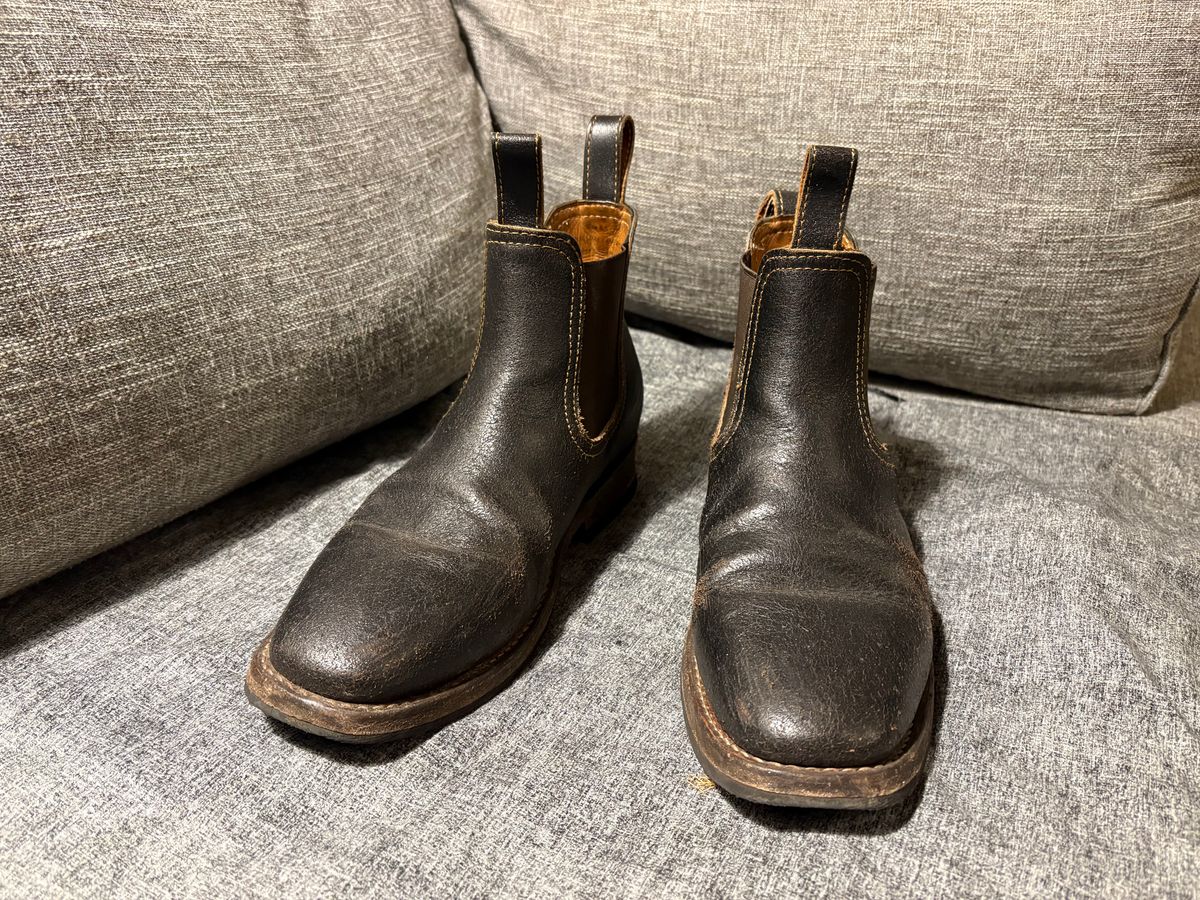 Photo by geckotrekker on February 5, 2026 of the Thursday Journeyman in Thursday Waxed Cacao.