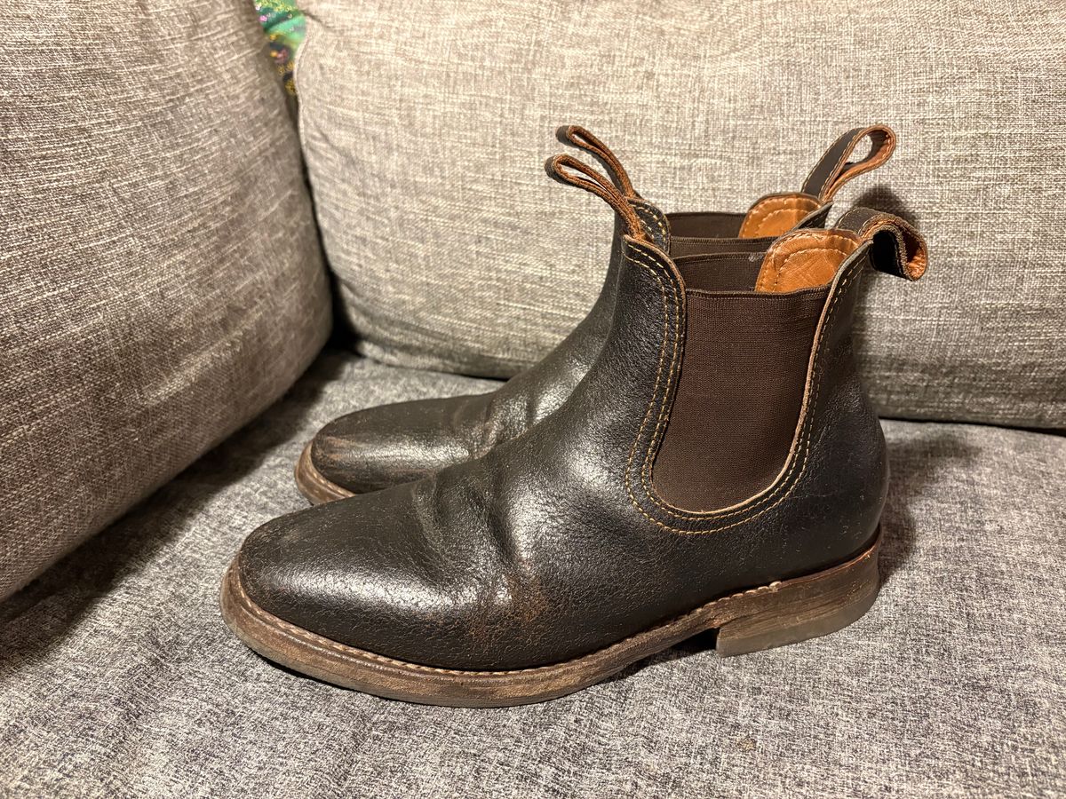 Photo by geckotrekker on March 4, 2026 of the Thursday Journeyman in Thursday Waxed Cacao.