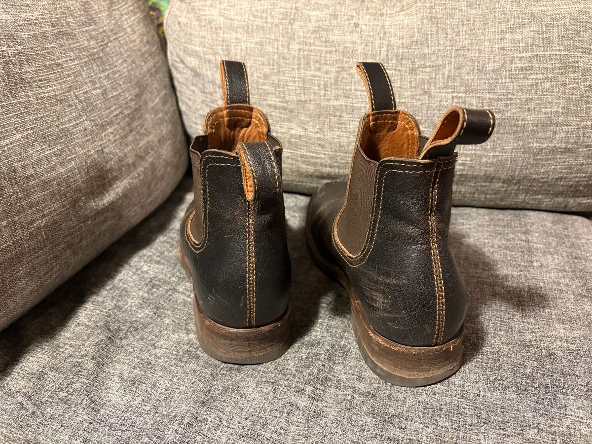 Photo by geckotrekker on March 4, 2026 of the Thursday Journeyman in Thursday Waxed Cacao.