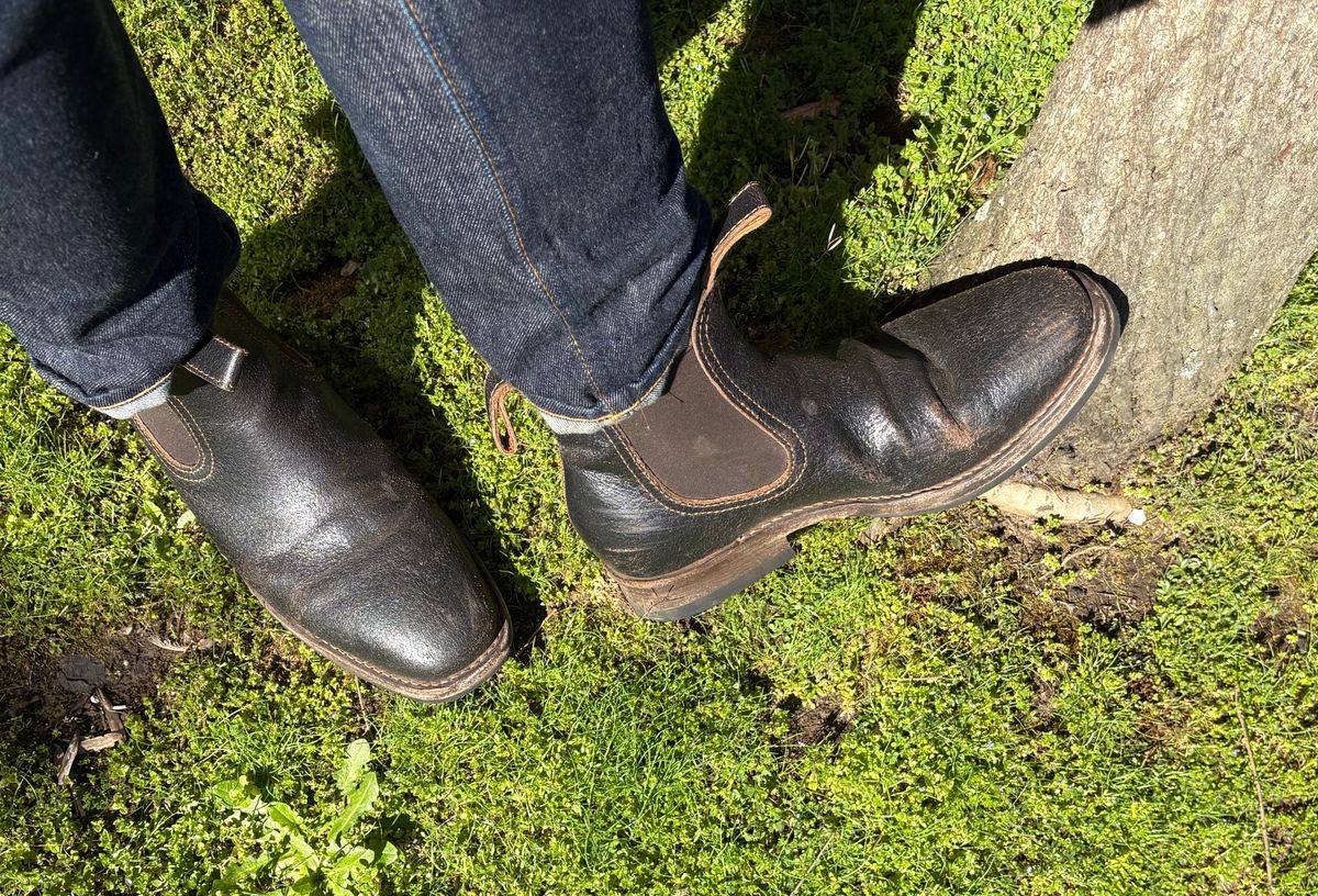 Photo by geckotrekker on April 3, 2026 of the Thursday Journeyman in Thursday Waxed Cacao.