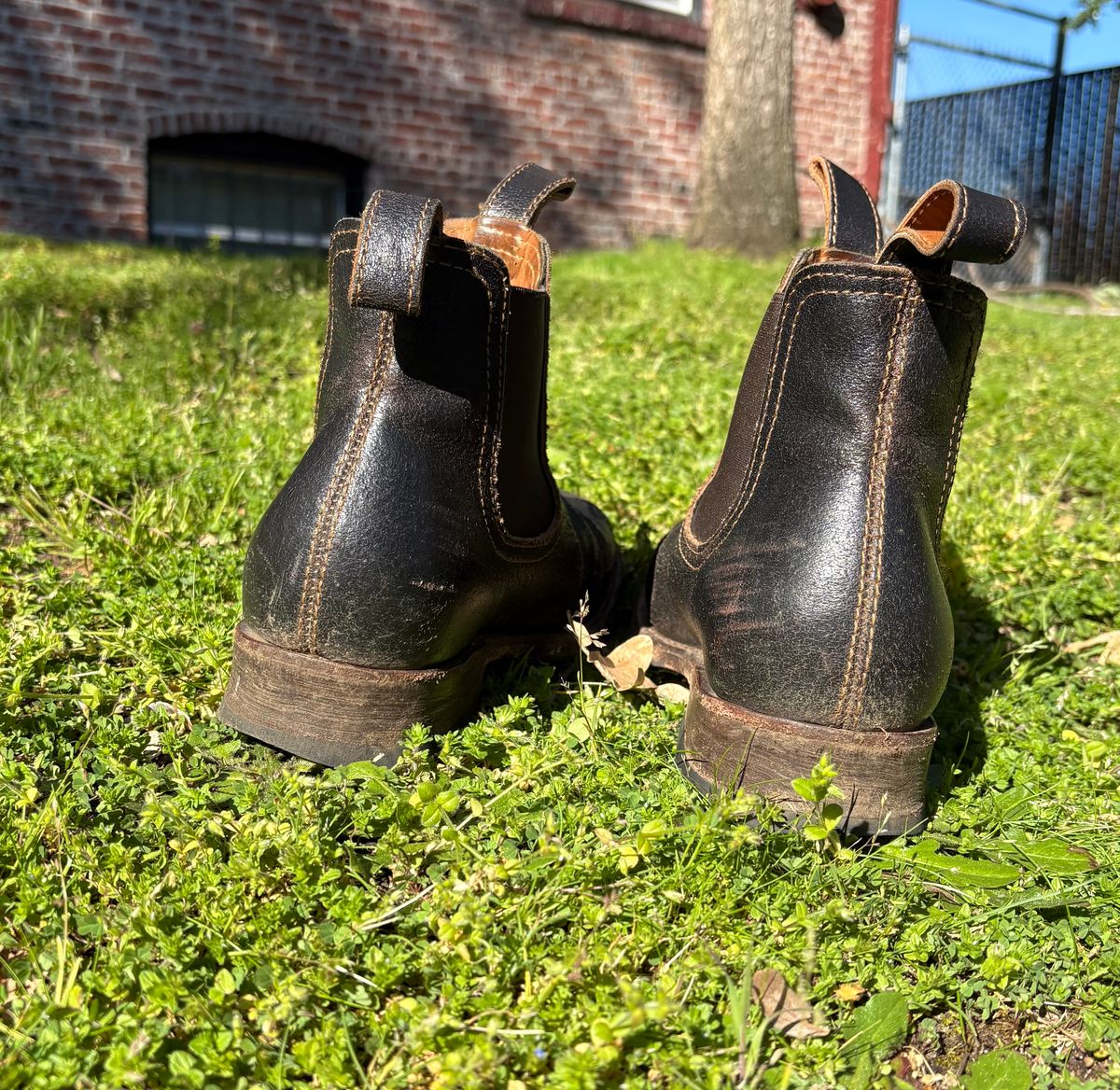 Photo by geckotrekker on April 3, 2026 of the Thursday Journeyman in Thursday Waxed Cacao.
