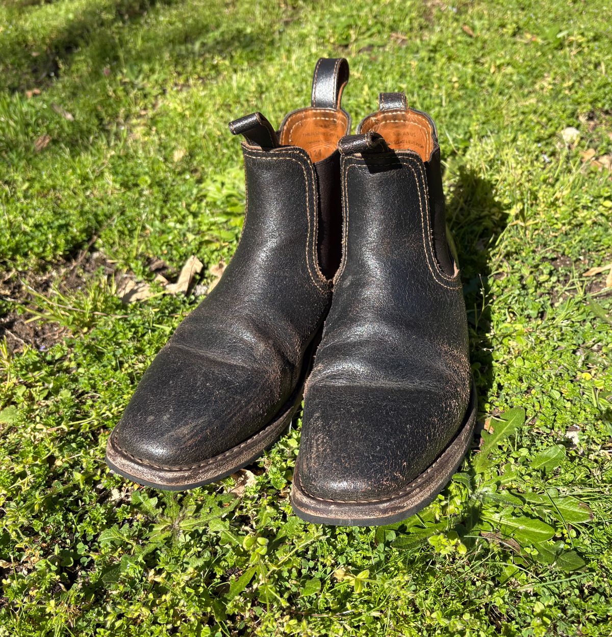 Photo by geckotrekker on April 3, 2026 of the Thursday Journeyman in Thursday Waxed Cacao.