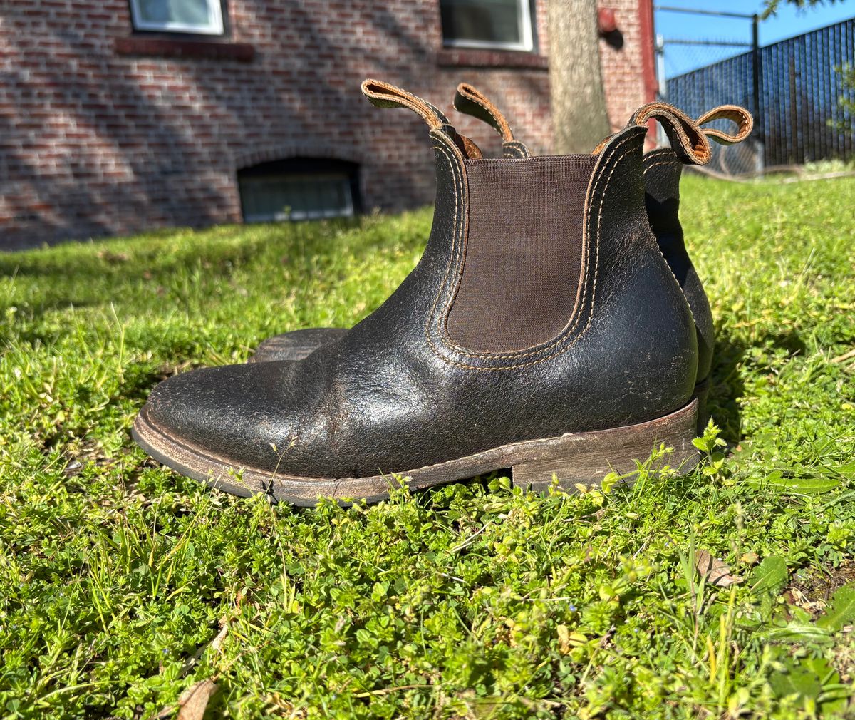 Photo by geckotrekker on April 3, 2026 of the Thursday Journeyman in Thursday Waxed Cacao.