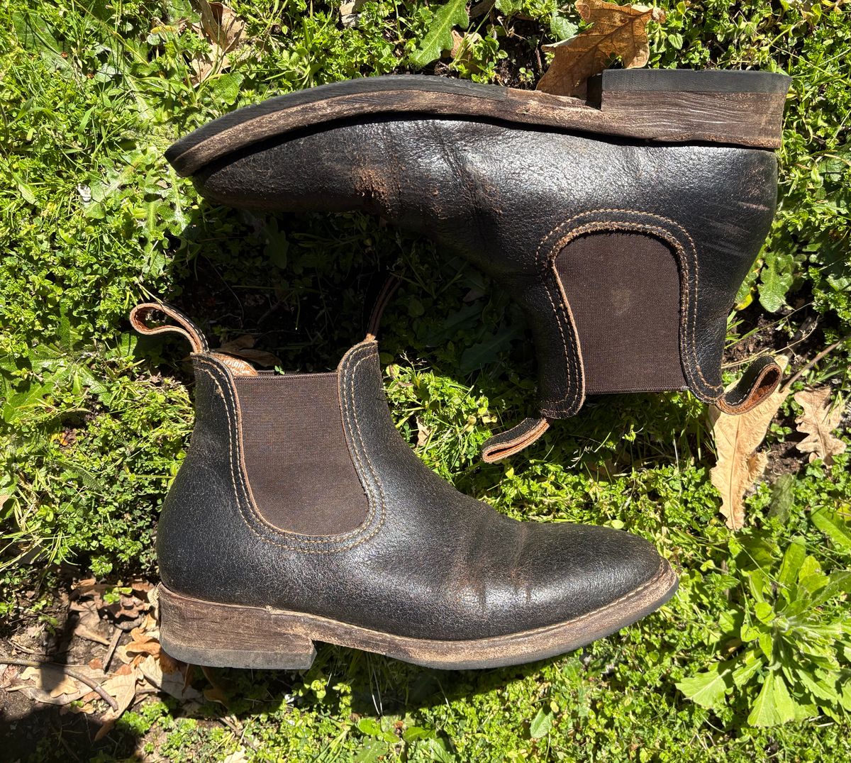 Photo by geckotrekker on April 3, 2026 of the Thursday Journeyman in Thursday Waxed Cacao.