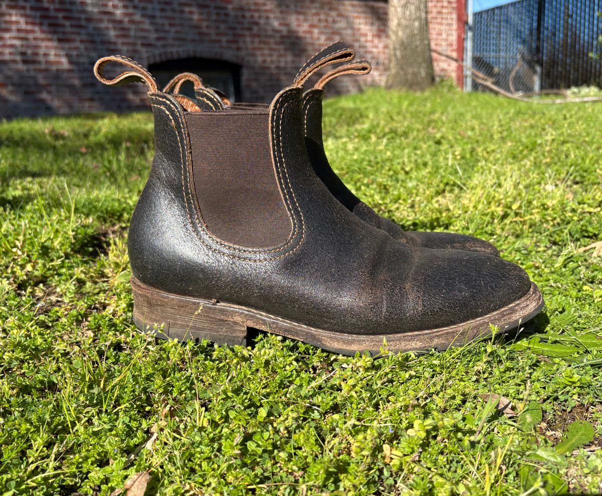 Photo by geckotrekker on April 3, 2026 of the Thursday Journeyman in Thursday Waxed Cacao.